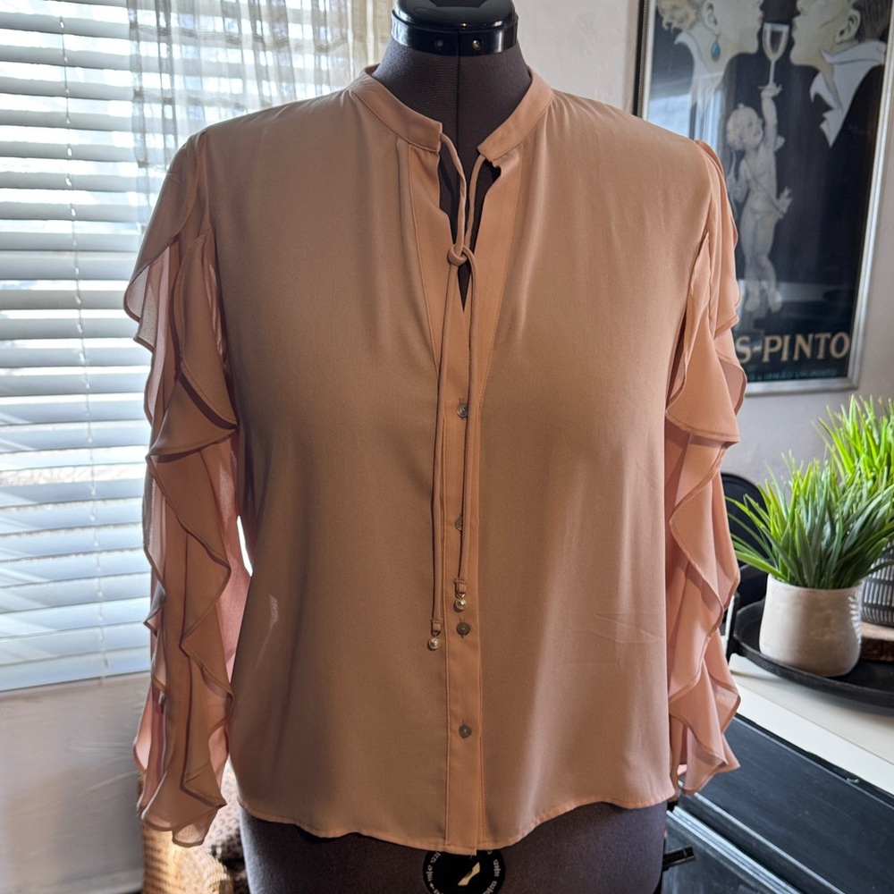 Zara Blush Pink Blouse with Ruffle Sleeves XL Like new